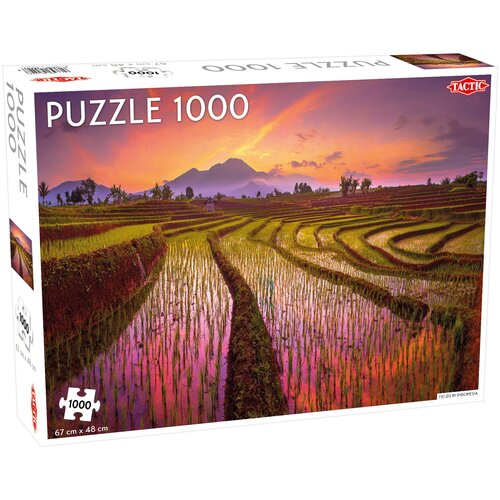 Fields in Indonesia
